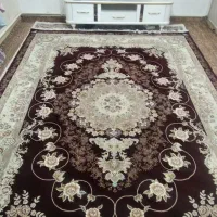 فرش در حد نو|فرش|تهران, شکوفه (عبدل آباد)|دیوار