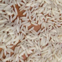 فروش برنج هاشمی