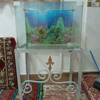 آکواریوم شیشه خم