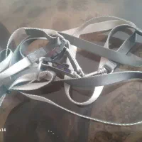 غلاده حیوانات خانگی نو نو