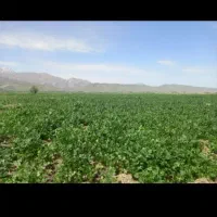 زمین-کشاورزی-ابی