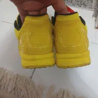 کتونی zx8000 اورجینال ادیداس لگو|کیف، کفش، کمربند|پرند, فاز ۳|دیوار