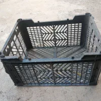 سبد میوه