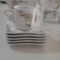 ظروف چینی پردیس