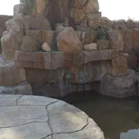 آبنما و آبشار|خدمات پیشه و مهارت|شیراز, ریشمک|دیوار