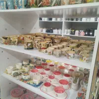 جشنواره فروش گلهای آپارتمانی وگلدان واجناس دکوری|گل و گیاه طبیعی|اصفهان, بهارستان|دیوار