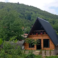 کلبه سوییسی  تک خواب تازه ساخت