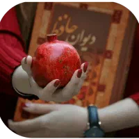 عکاسی یلدا و مجالس و فضای باز