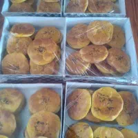 کلوا وبرساق خانگی