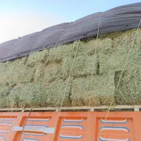 فروش تفاله و یونجه و کاه نرم گندم|عمدهفروشی|گنبد کاووس, |دیوار