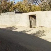 باغ فروشی بهمن