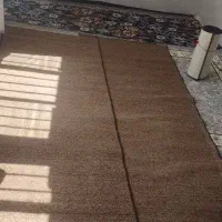 پالاز موکت