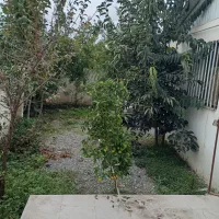 ویلا به قیمت شهر دابودشت|فروش خانه و ویلا|دابودشت, |دیوار