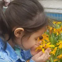 معلم خصوصی ابتدایی و متوسطه در نارمک|خدمات آموزشی|تهران, نارمک|دیوار