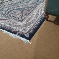 فرش وموکت|فرش|گرگان, |دیوار