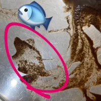 فال قهوه و تاروت|خدمات پذیرایی، مراسم|شیراز, تاچارا|دیوار