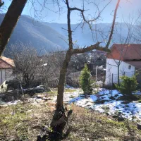 لنجام امور نظافت