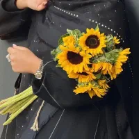 ادمین و ادیتور هستم