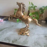 اسب‌برنزی