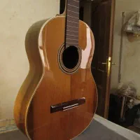 گیتار دستساز حرفه ای