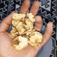 گردوتویسرکان