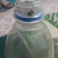 بطری نوشابه ۳تومان