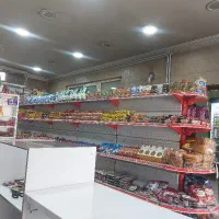 استخدام نیروی کار