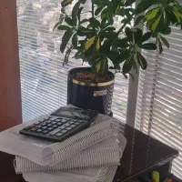 صورت وضعیت نویسی و تعدیل