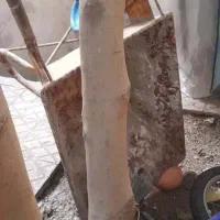 فرقون کاملا سالم|مصالح و تجهیزات ساختمان|کرج, المهدی|دیوار