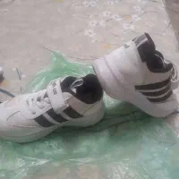 کتانی پسرانه|کفش و لباس بچه|قم, امامزاده ابراهیم|دیوار