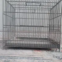 قفس‌سهره‌محکم‌