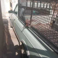 وانت مدل ۸۷