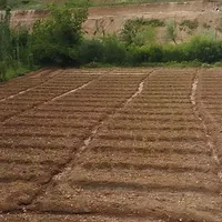 زمینباغ2700متری