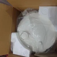 سرخ کن گاسونیک