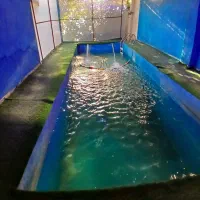 باغ ویلا استخرآبگرم روزانه