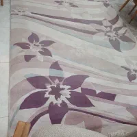 فرش ۶ متری|فرش|گرگان, |دیوار