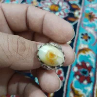 باباقوری تک خال