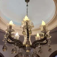 لوستر دایکاس