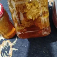 عسل رکو