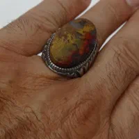 انگشتر نقره با نگین شجرمرجانی کمیاب|جواهرات|پرند, فاز ۶|دیوار