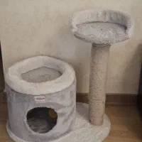 اسکرچر