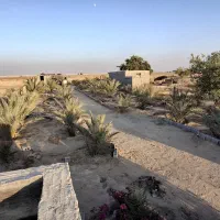 باغ شهری میاندشت 1000 متر  کشاورزی|فروش زمین و ملک کلنگی|آبپخش, |دیوار