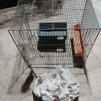 قفس پرنده کامل