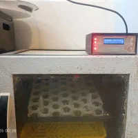 یک دستگاه جوجه کشی