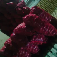 پیاز|عمده‌فروشی|خوی, |دیوار