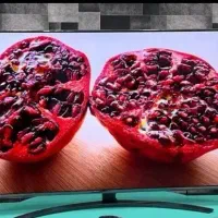 نمایندگی تیوی سنتر الجی سامسونگ