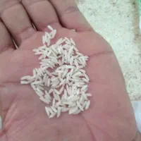 برنج هاشمی آستانه اشرفیه