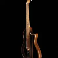 گیتار سایلنت دریمی