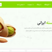 طراحی سایت حرفه ای با وردپرس