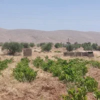باغ بر خیابان|فروش زمین و ملک کلنگی|شیراز, شهدای شهرک سعدی|دیوار